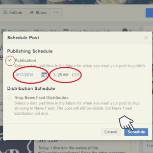 Screenshot of Facebook scheduled post options